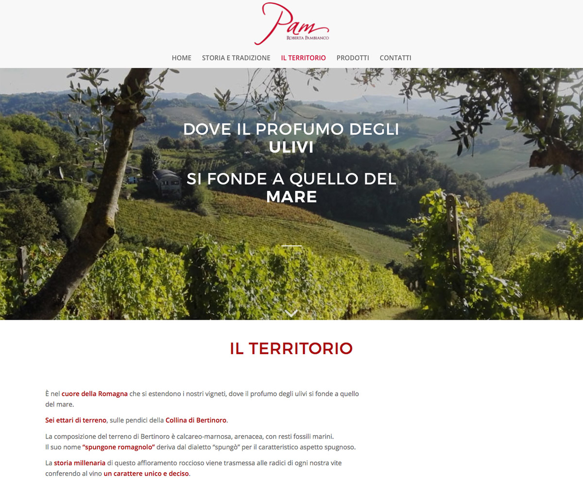 Sito Roberta Pambianco Vini | Web design