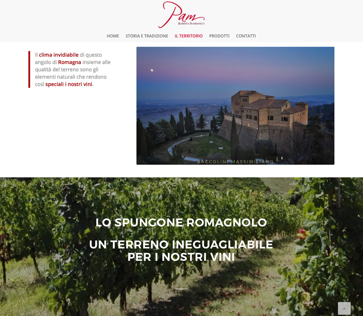 Sito Roberta Pambianco Vini | Web design